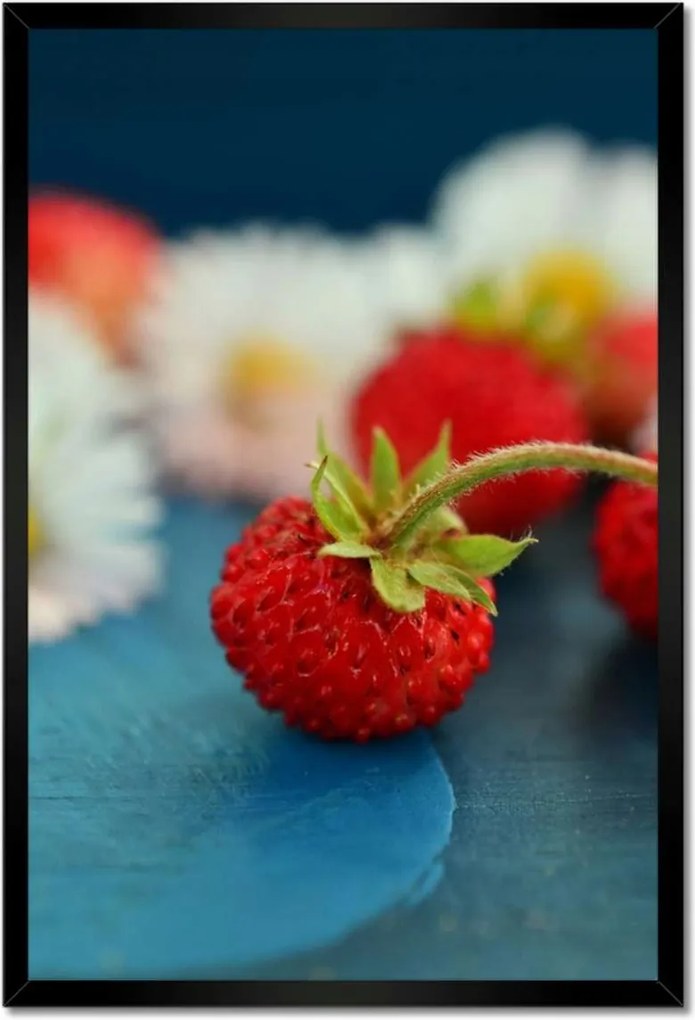 Poszterek keretben 40x60 Vízszintesek és margaréták