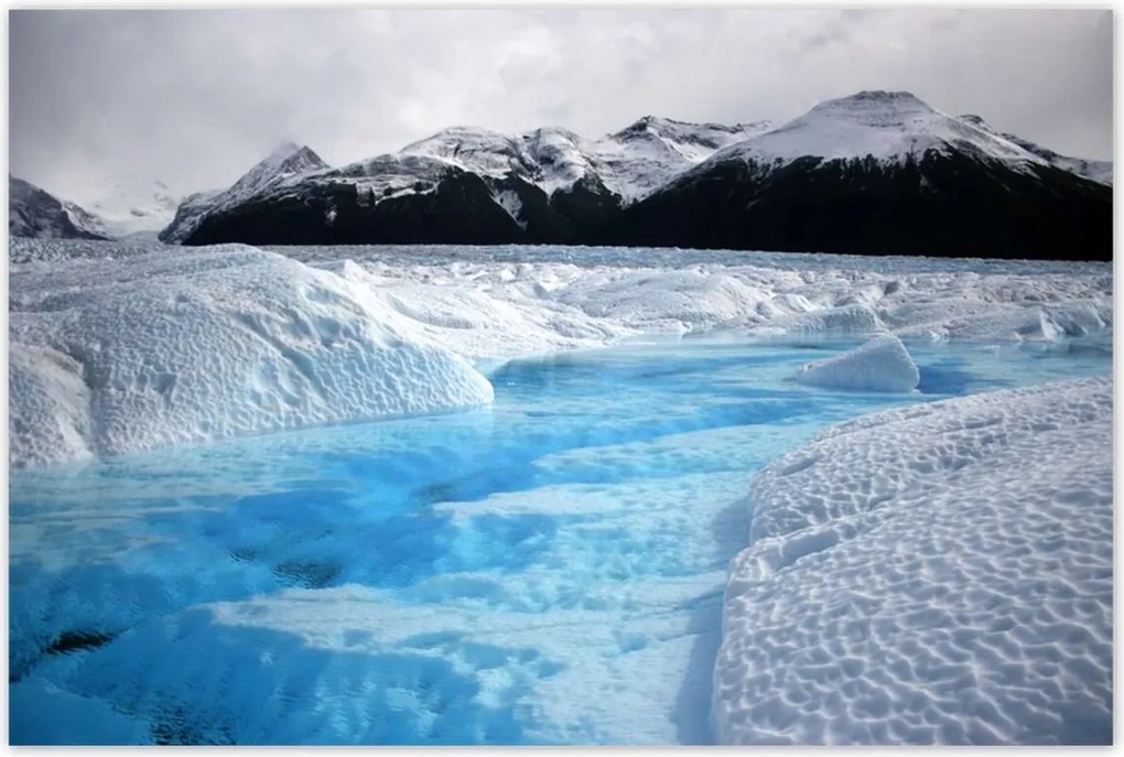 Poszterek 120x80 Kék őrző