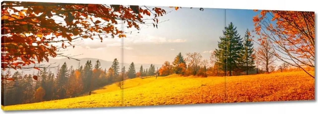 Festmények 120x40 Őszi táj