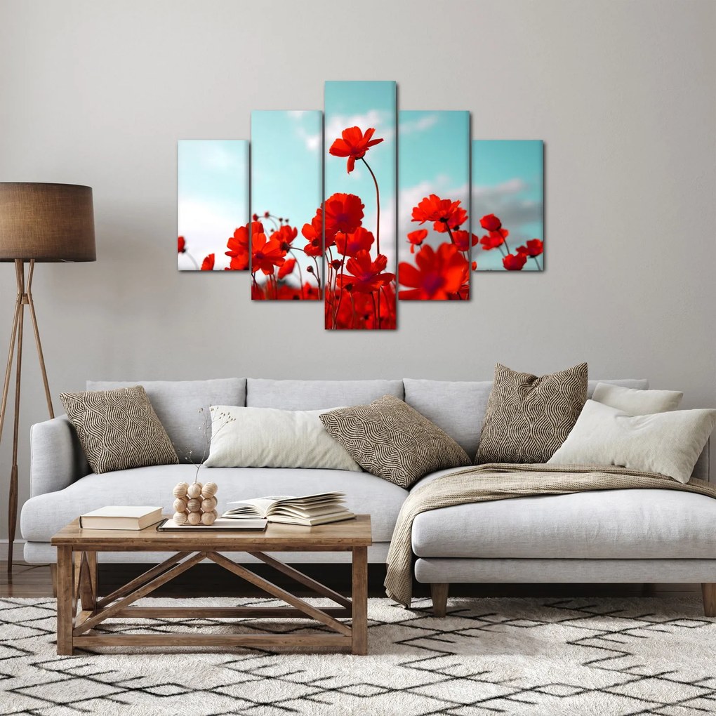 Fényes piros virágokkal rendelkező mező képe (150x105 cm)