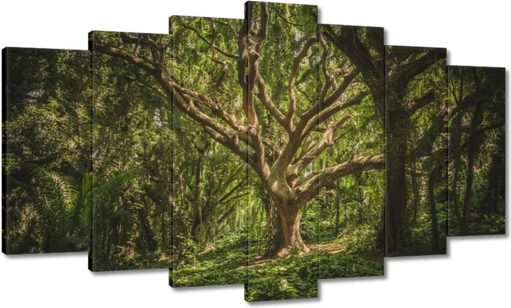 Festmények 140x80 Fa a parkban