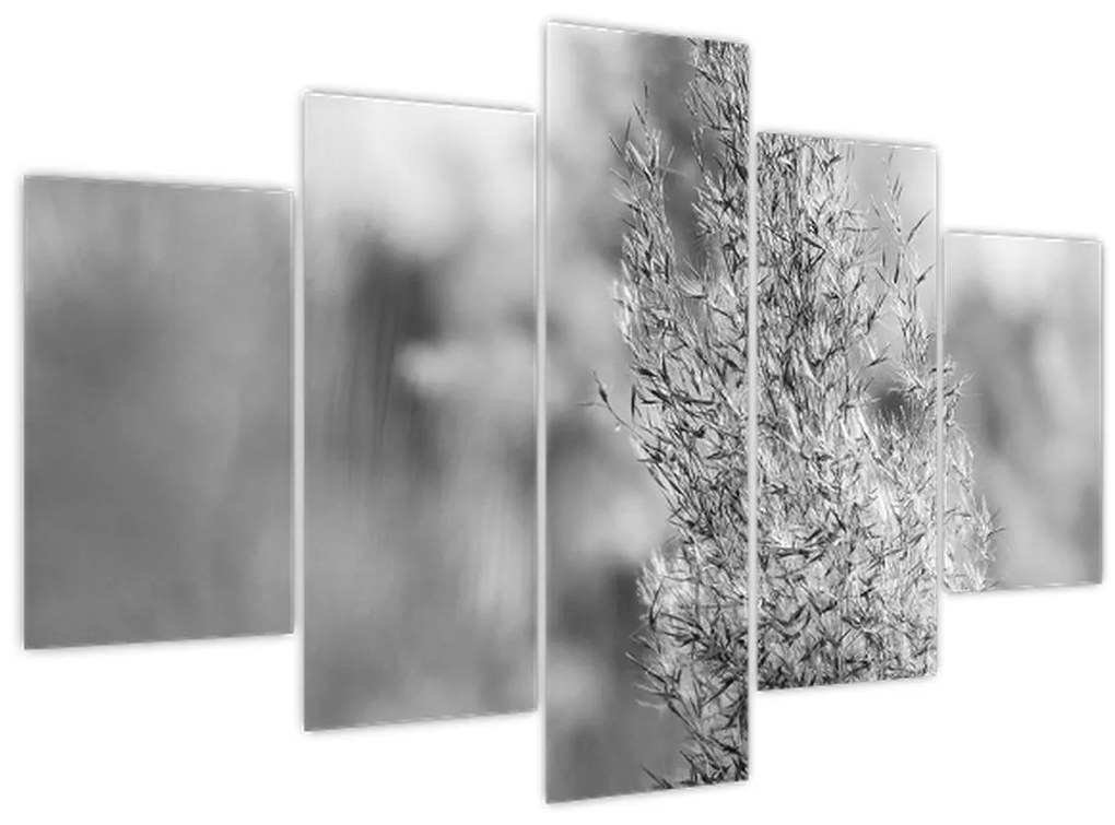 Kép - Boho pampafű (150x105 cm)