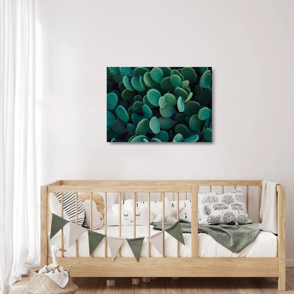Üveg kép - Opuntia (70x50 cm)