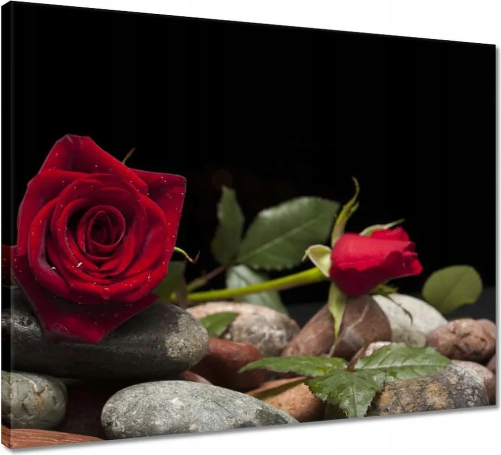 Vászonkép 50x40 Spa Wellness Relaxáció Víz