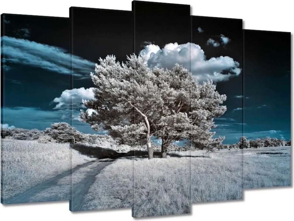 Vászonkép 70x50 Fenséges fa