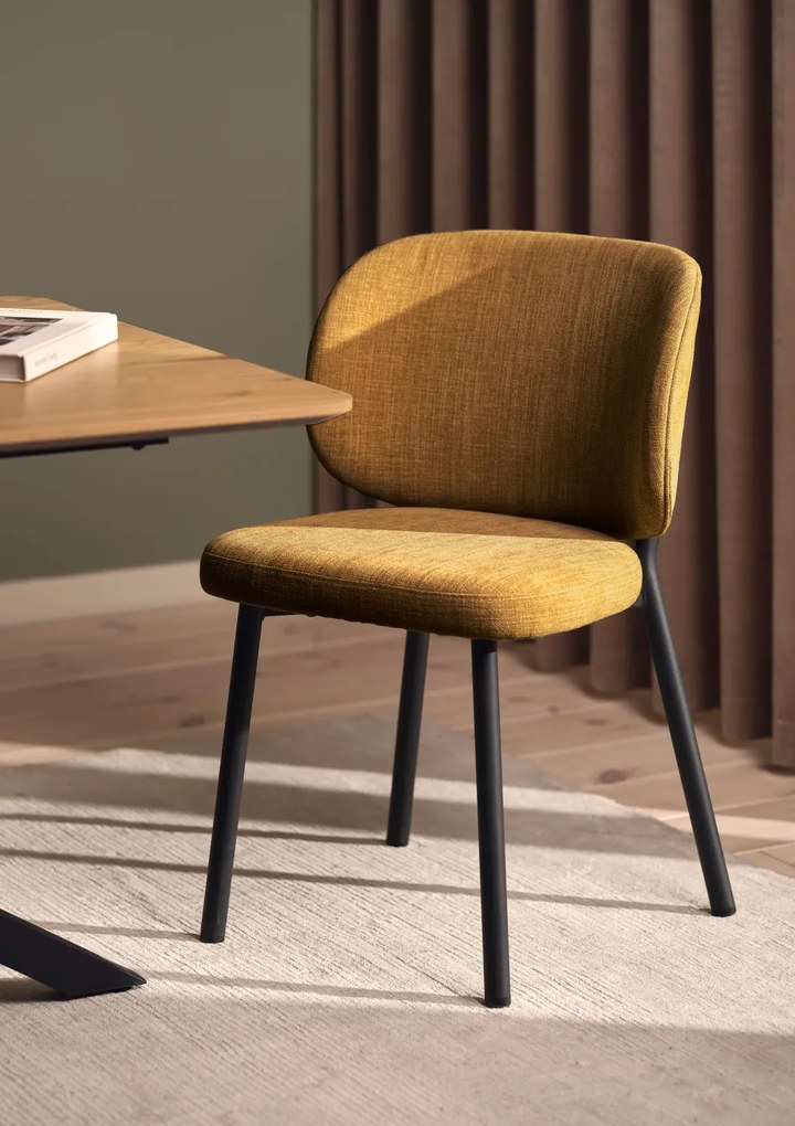 Swan design szék