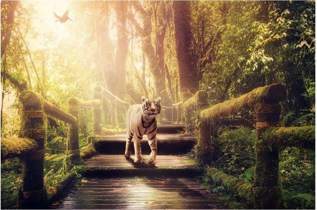 Tigris a dzsungelben képe (90x60 cm)