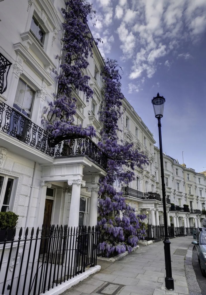 Poszter 70x100cm Ház a Portobello úton, Assaf Frank