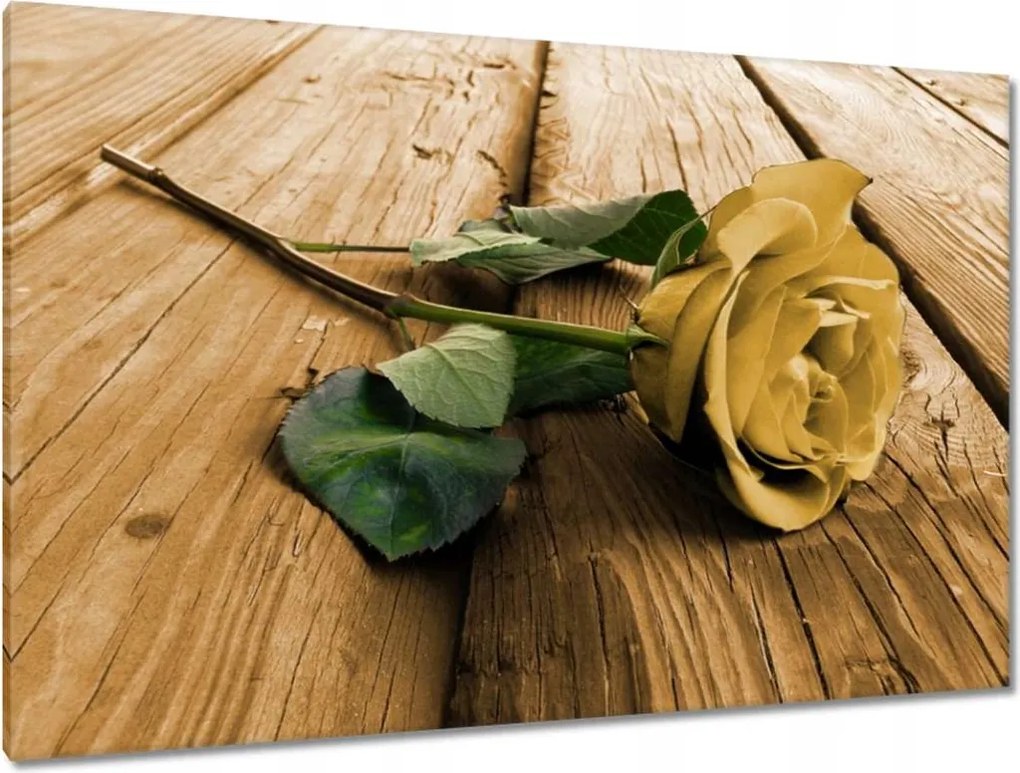 Festmények 120x80 Rózsa a deszkákon