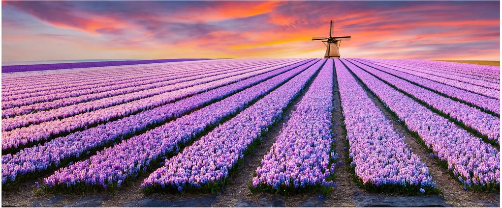 Kép - virágfarm (120x50 cm)