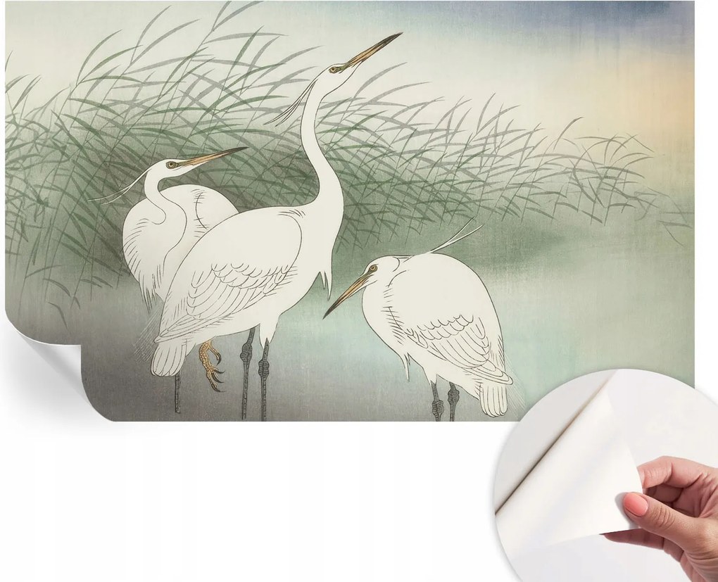 Öntapadós fotótapéta a konyhába Mosható sapkák a fűben 416x254 cm