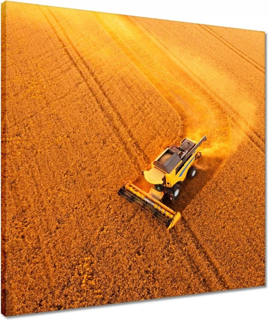 Vászonkép 50x50 Kilátás felülről a kombájnra