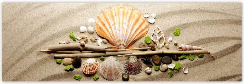 Poszterek 200x66 Kagylók Tengeri homok