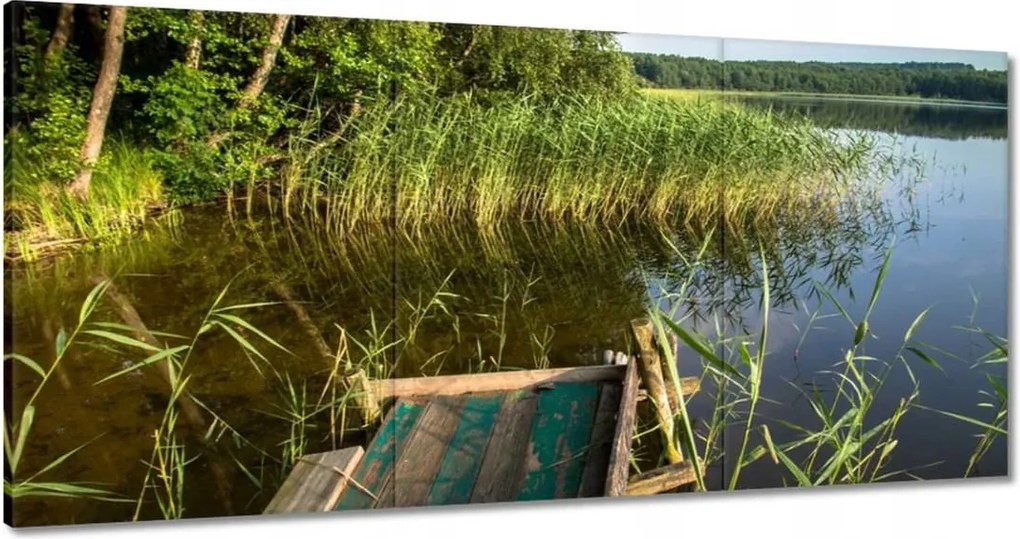 Festmények 120x60 Szúnyogok