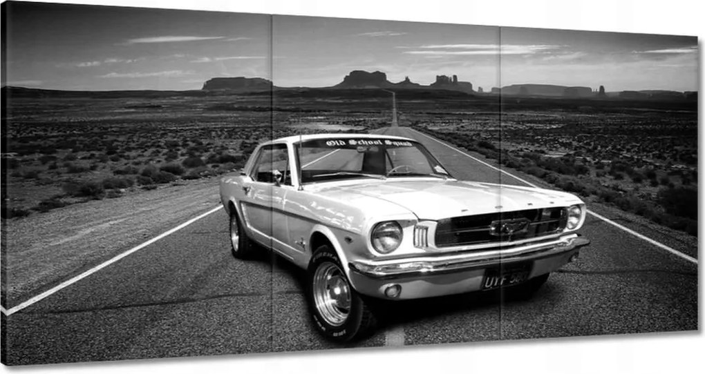 Vászonkép 60x30 Oldschool Ford Mustang