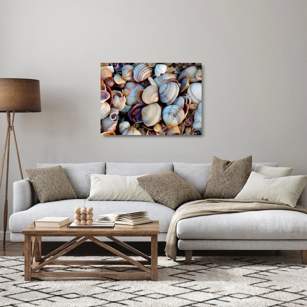Kagyló képe (üvegen) (70x50 cm)