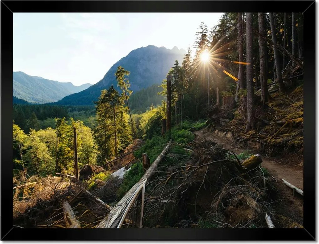 Poszterek keretben 40x30 Hegyek Napfény Erdő Ösvény