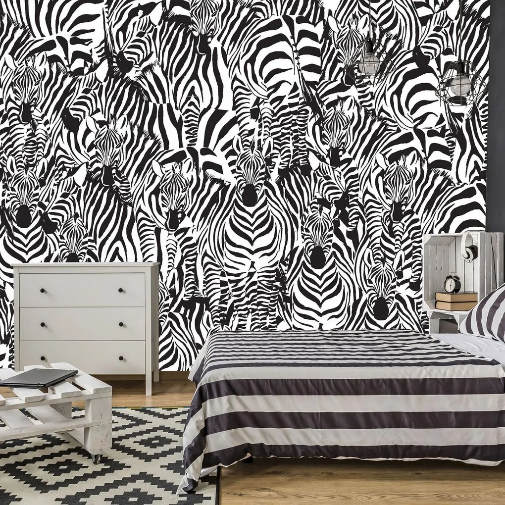 Fotótapéta - Zebra (152,5x104 cm)