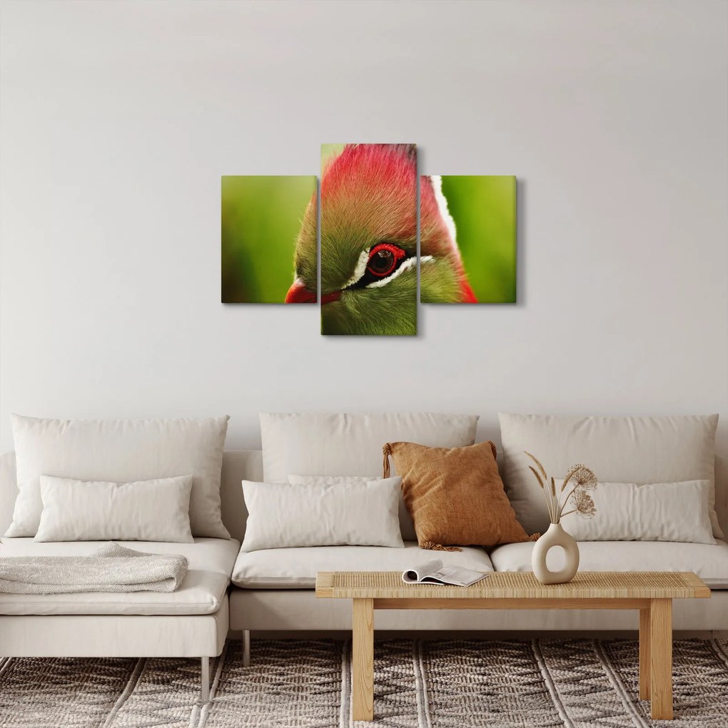 Színes madár képe (90x60 cm)