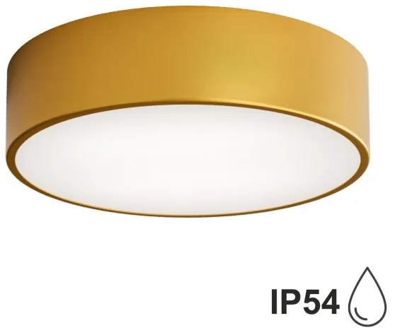 Brilagi - Fürdőszobai mennyezeti lámpa CLARE 2xE27/24W/230V átm. 30 cm IP54 arany