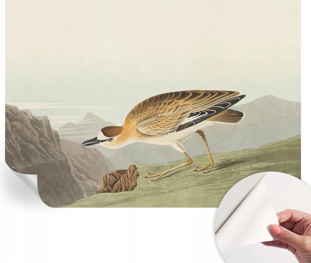 Fotótapéta Fali tapéta Hálószobába és Nappaliba Hegyi madár 208x146 cm