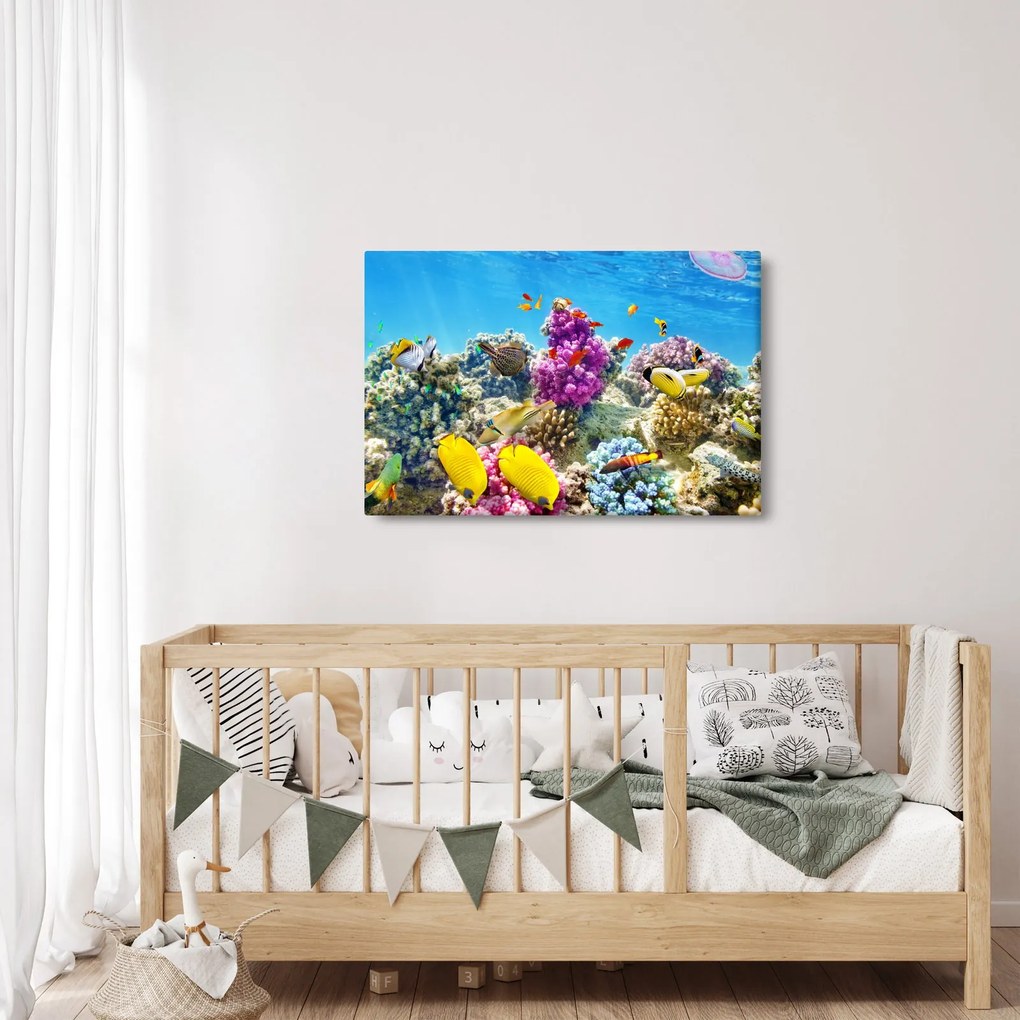 Kép - A tenger világa (90x60 cm)