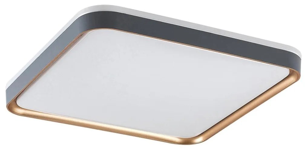 Rabalux 71029 - LED mennyezeti lámpa LIATRIS LED/26W/230V 3000K