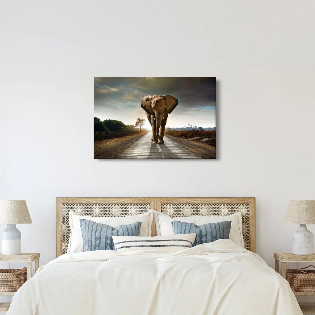 Elefánt képe (90x60 cm)