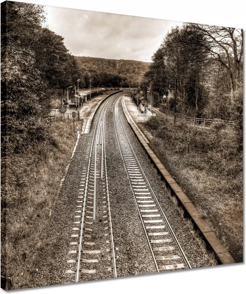 Vászonkép 40x40 Tóra szépia fotó