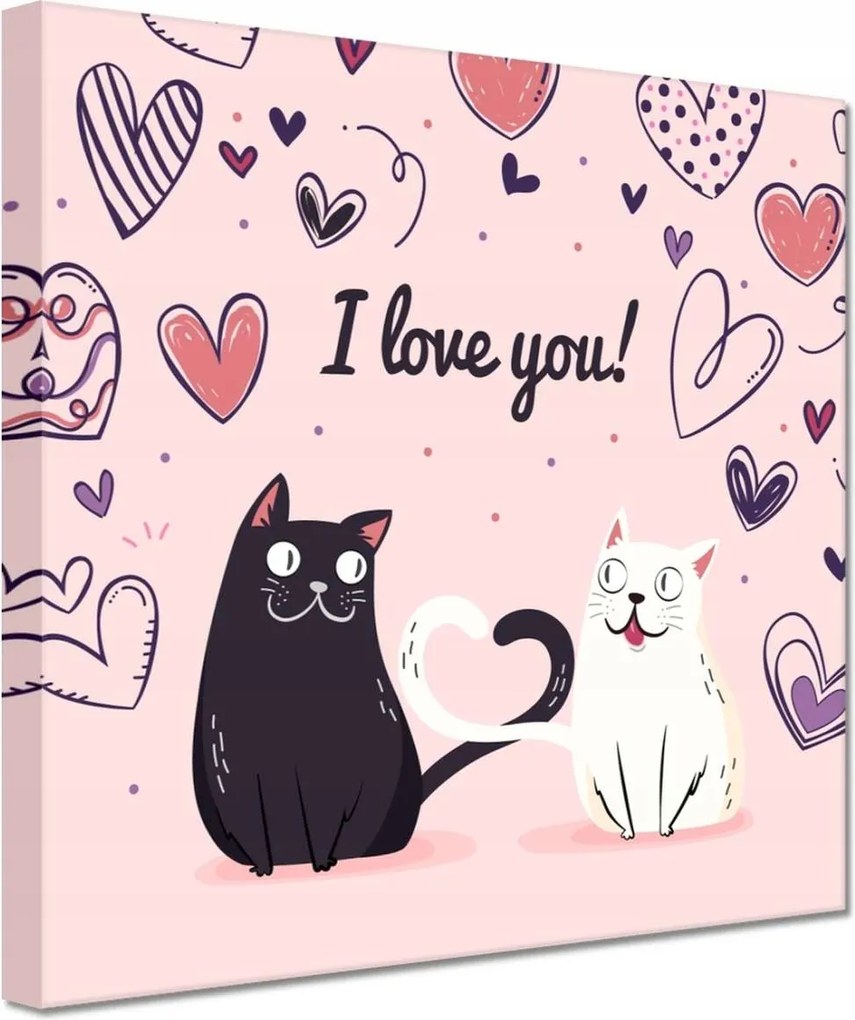 Vászonkép 60x60 Cica Cicák