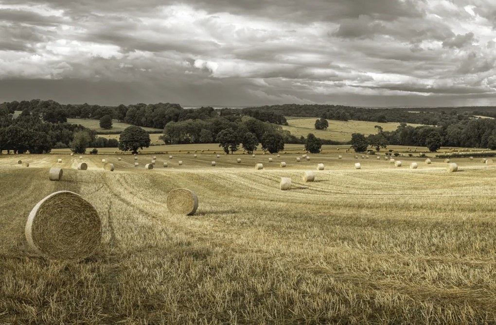 Poszter 91,5x60cm Szénakazalok a mezőkön 3, Assaf Frank