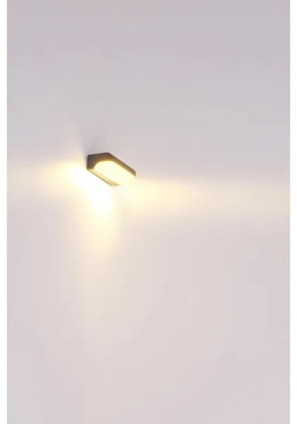 Globo 34174W - LED Kültéri fali lámpa HONNA LED/10W/230V IP54
