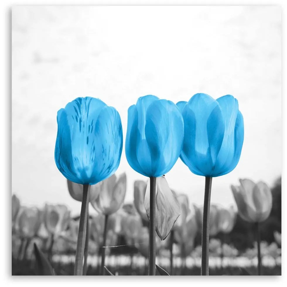 Gario Vászonkép Kék tulipánok Méret: 40 x 40 cm