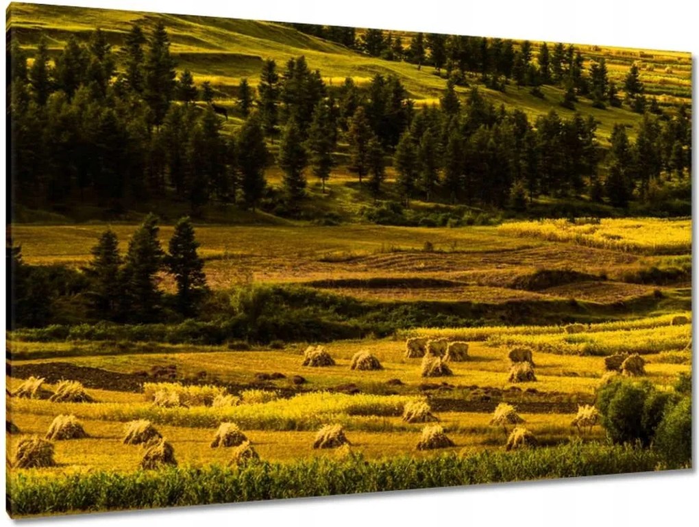 Festmények 120x80 Tájkép Látvány