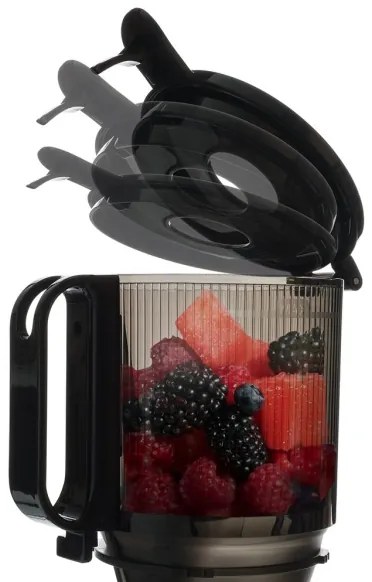 TESLA Electronics SlowJuicer Deluxe - Lassú facsaró 250W/230V rozsdamentes