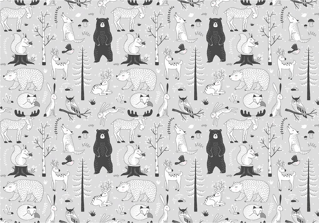 Fotótapéta Erdei állatok medvék szarvasok rókák 250x175 +ragasztó