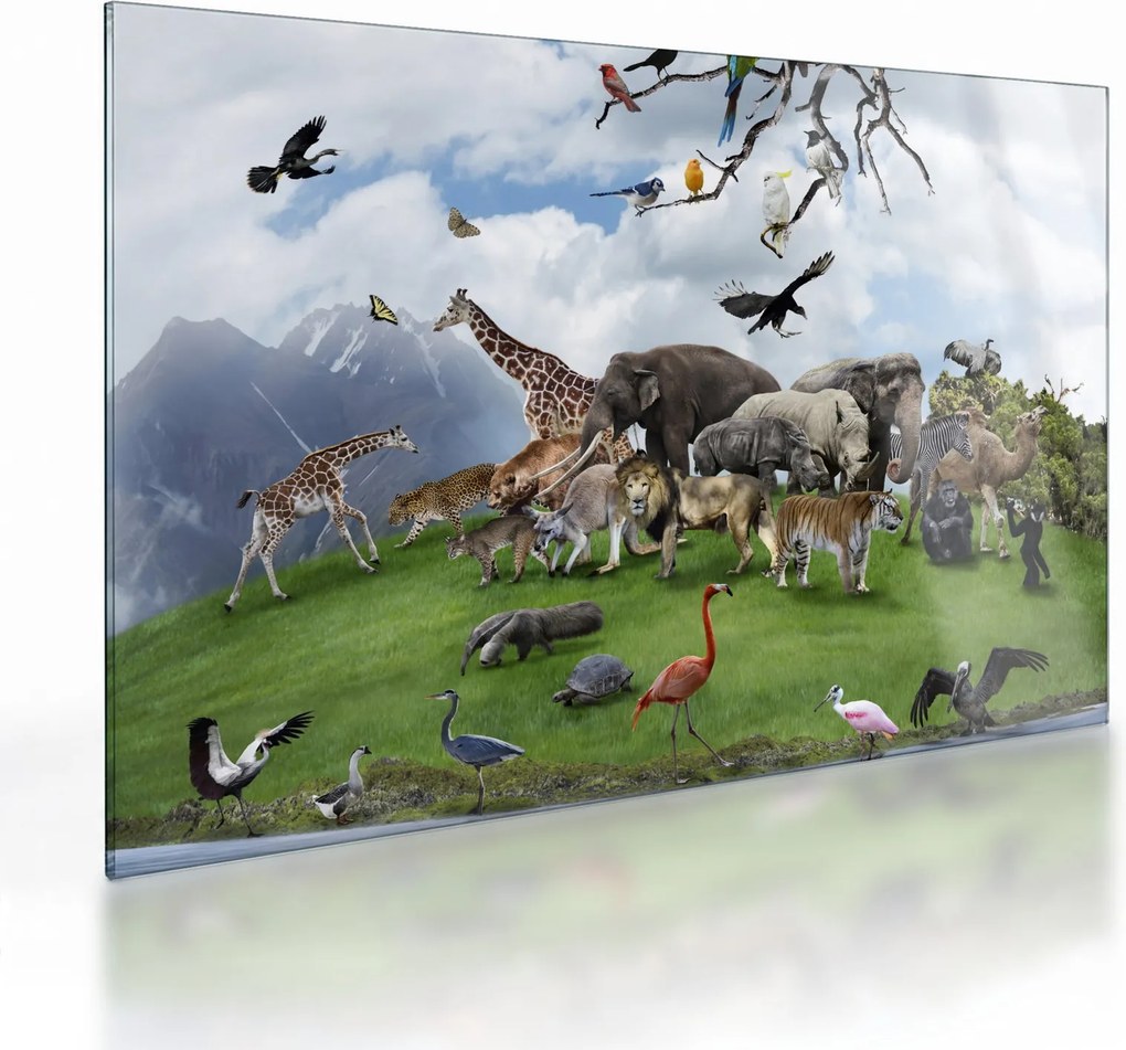 Kép - állatok a szigeten (üvegen) (70x50 cm)