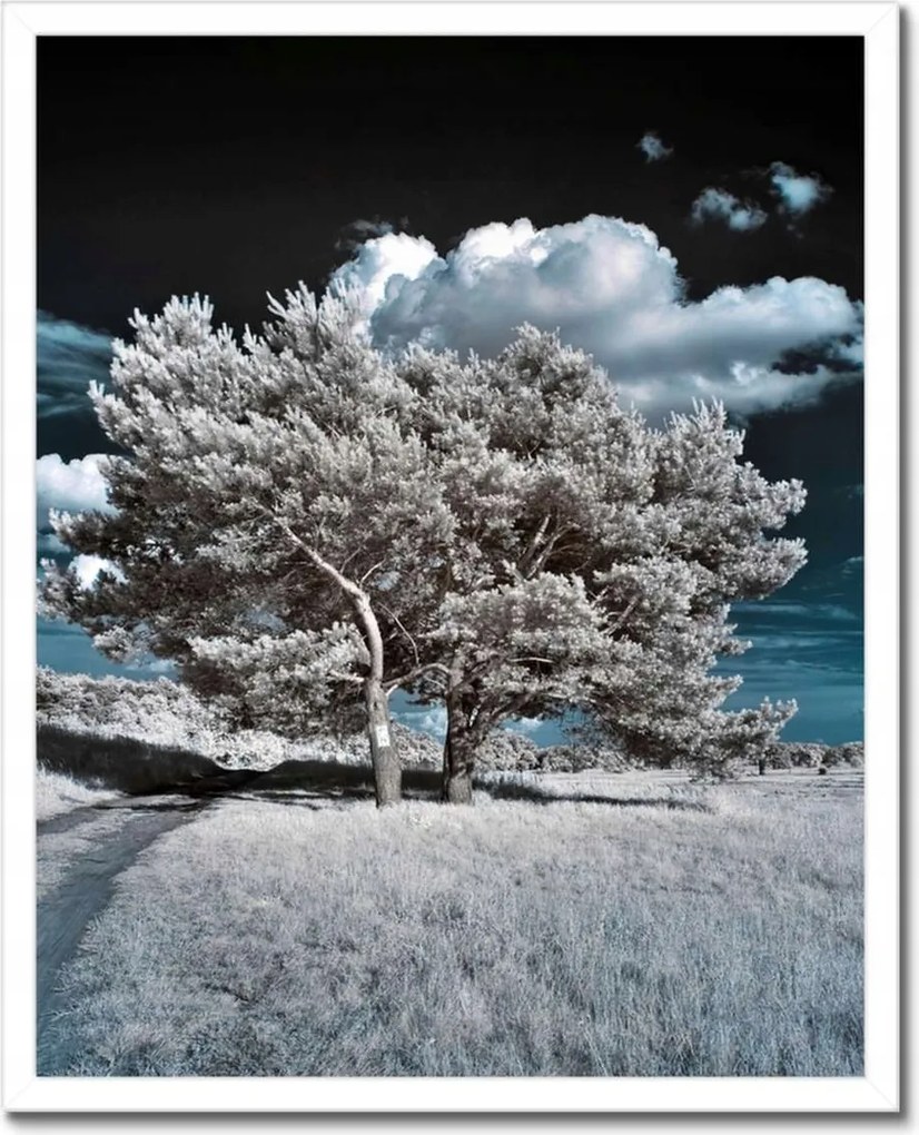 Poszterek keretben 40x50 Fa