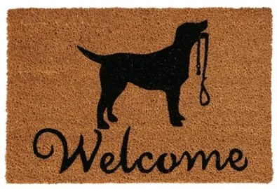 Lábtörlő kókusz-PVC, 40x60cm, kutya pórázzal