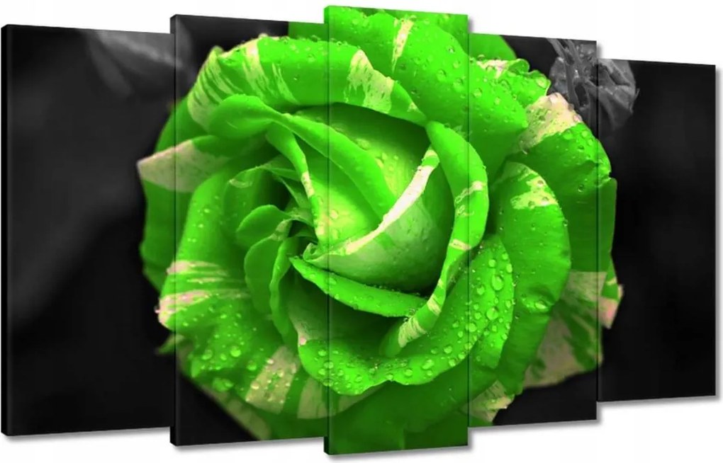 Vászonkép 100x60 Lime rózsa