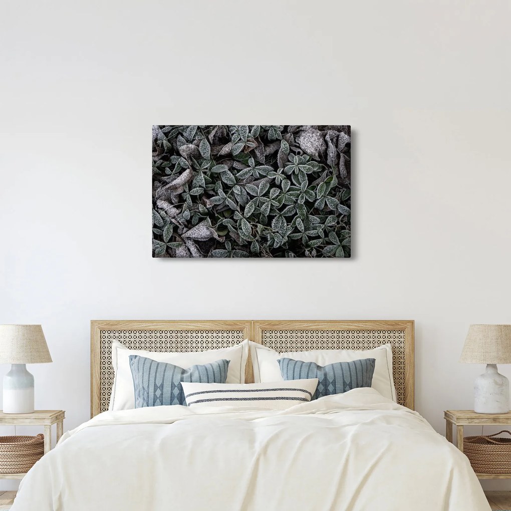 Kép - Fagyasztott növények (90x60 cm)