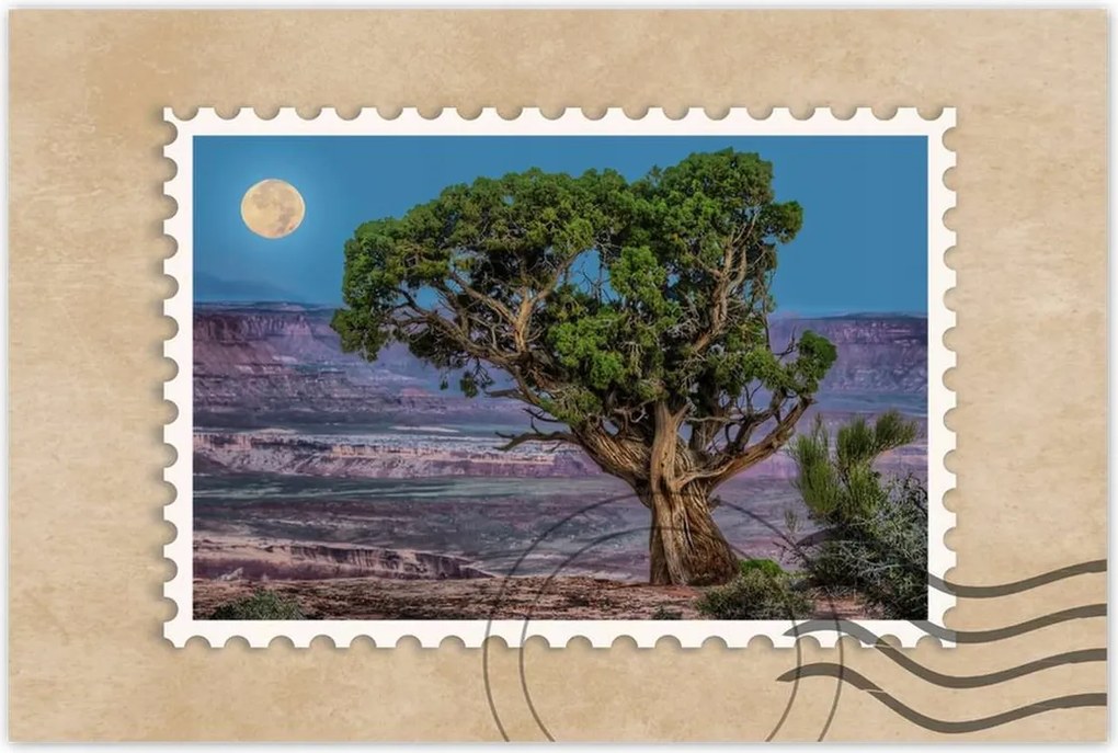 Poszterek 90x60 Kilátás Tájkép