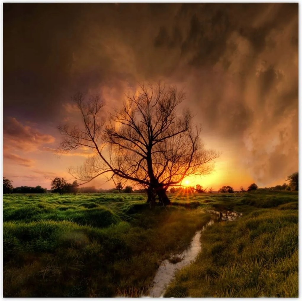 Poszterek 140x140 Tölgy a croissant-ban Nyugat