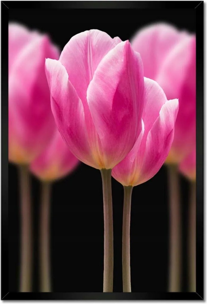 Poszterek keretben 40x60 Tulipánok Virágok