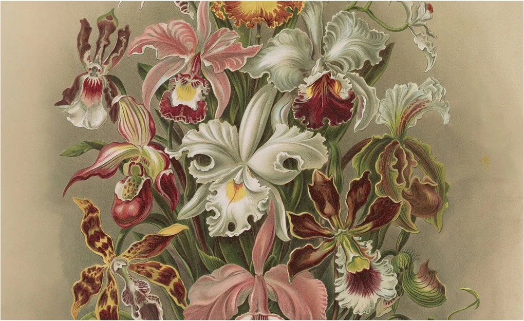 Fotótapéta Flizelin Design Divatos Virágos elegancia 416x254 Ragasztó