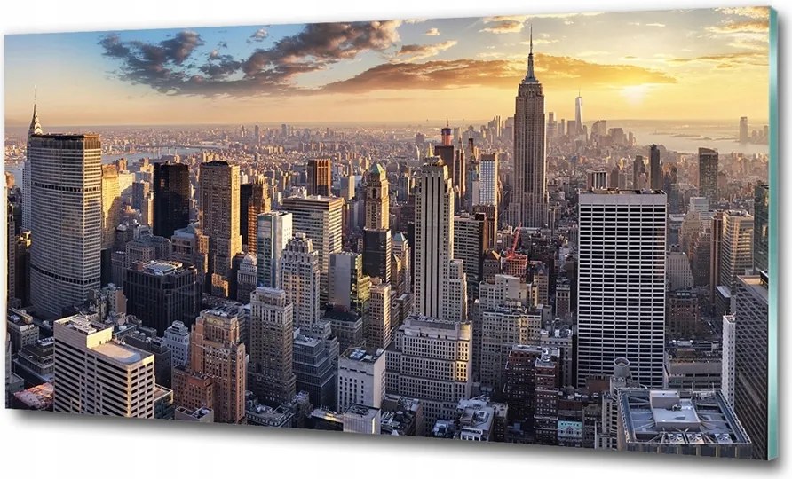 Fotó üvegkép New York madár repülés 100x50