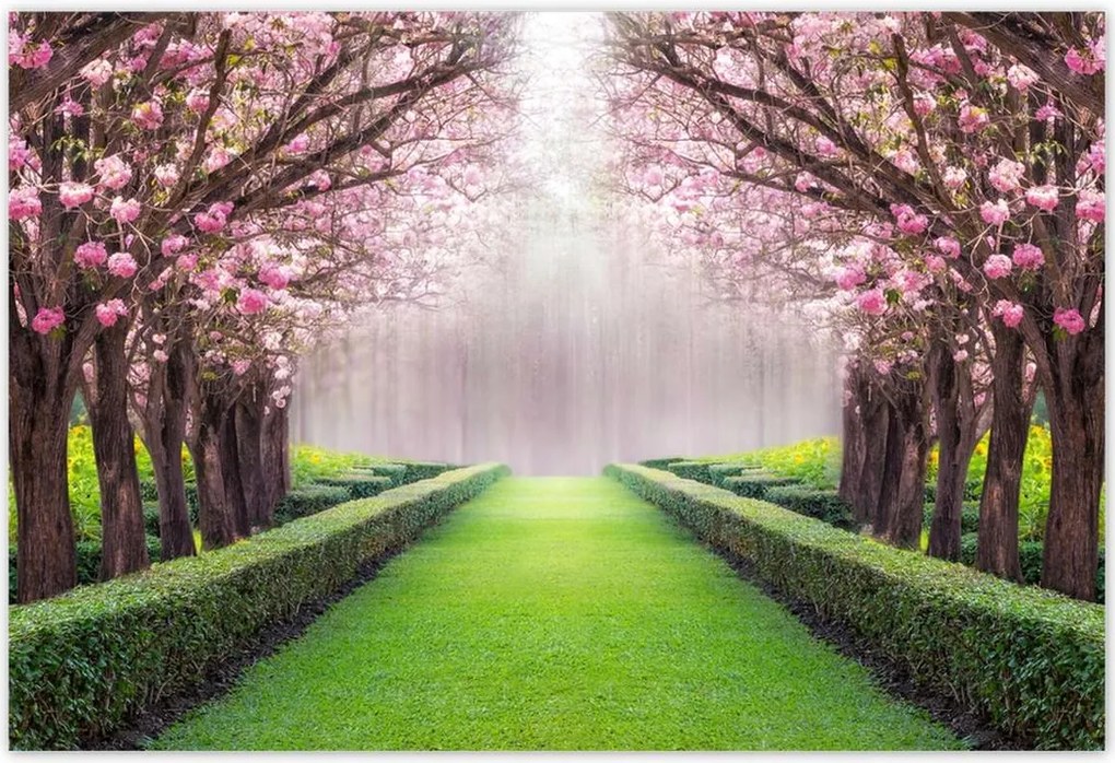 Poszterek 200x135 Gyönyörű virágok a nappaliba