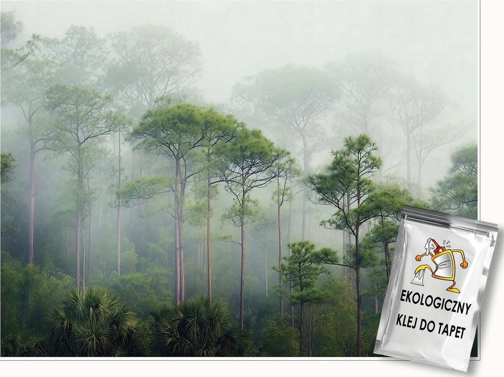 3D Fotótapéta Erdő Fák Köd Zöld Falra Hálószoba Nappali 250x175