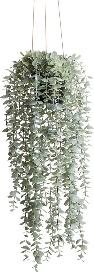 FLORISTA eukaliptusz felakasztható cserépben 65 cm