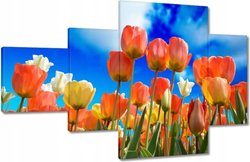 Vászonkép 130x80 Színes tulipánok Virágok
